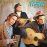 hothouse flowers